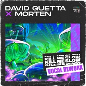 DAVID GUETTA X MORTEN - KILL ME SLOW (VOCAL REWORK)